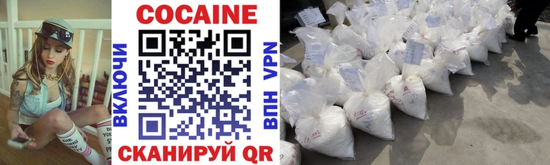 купить закладку  Валдай  Cocaine Fish Scale 