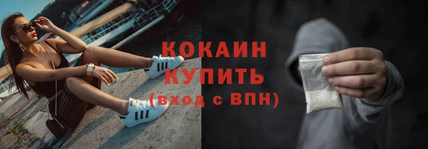 трава Арсеньев